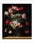 Tulips, Daffodils, Carnations, Poppies, Anemones, and Other Flowers in a Glass Vase on a Wooden Ledge, one of a pair, 17th century by Jean Picart