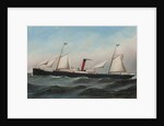 The S.S. Oevenum at sea , 1891 by Antonio Jacobsen