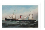 The S.S. Oevenum at sea , 1891 by Antonio Jacobsen