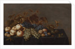 Still Life of Fruit on a Table Draped with a Dark Cloth: Plums, Apples, Bunches of Black and White Grapes and Pears by Floris van Schooten