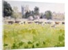 Looking Across Christ Church Meadows, 1989 by Lucy Willis