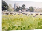 Looking Across Christ Church Meadows, 1989 by Lucy Willis