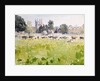 Looking Across Christ Church Meadows, 1989 by Lucy Willis