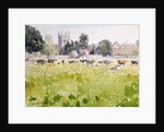 Looking Across Christ Church Meadows, 1989 by Lucy Willis