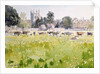 Looking Across Christ Church Meadows, 1989 by Lucy Willis