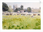 Looking Across Christ Church Meadows, 1989 by Lucy Willis