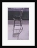 Cat on a Chair, 1986 by Lucy Willis