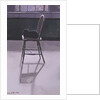 Cat on a Chair, 1986 by Lucy Willis