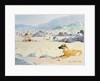 Dog on the Beach, Woolacombe, 1987 by Lucy Willis