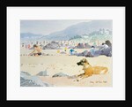 Dog on the Beach, Woolacombe, 1987 by Lucy Willis