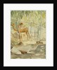 Camels at Rest, Salala 1992 by Lucy Willis