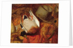 The Dead Mallard by William Holman Hunt