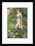 Phyllis, c.1887 by Arthur Hughes