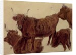 Studies of Highland Cattle by Richard Ansdell