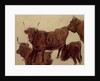 Studies of Highland Cattle by Richard Ansdell