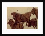 Studies of Highland Cattle by Richard Ansdell