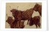 Studies of Highland Cattle by Richard Ansdell