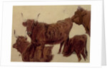 Studies of Highland Cattle by Richard Ansdell
