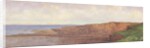 Northumberland Coast by Frank Thomas Carter