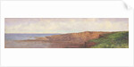 Northumberland Coast by Frank Thomas Carter