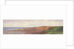 Northumberland Coast by Frank Thomas Carter