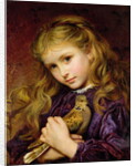 The Turtle Dove by Sophie Anderson