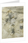 Four Children at the Seashore, 1910 by Arthur Rackham