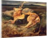 Stag by Edwin Landseer