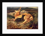 Stag by Edwin Landseer