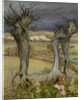 Near Amberley by Arthur Rackham