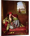 Favourite of the Harem by John Frederick Lewis