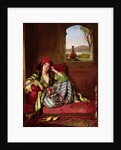 Favourite of the Harem by John Frederick Lewis