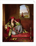 Favourite of the Harem by John Frederick Lewis