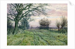 A Fenland Lane with Pollarded Willows, 1887 by William Fraser Garden