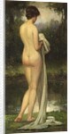 The Bather by Allan Douglas Davidson