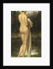 The Bather by Allan Douglas Davidson