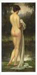 The Bather by Allan Douglas Davidson