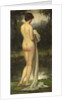 The Bather by Allan Douglas Davidson