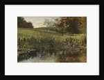 By the Riverbank, 1869 by Heywood Hardy
