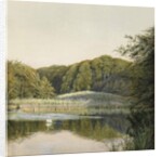 Swans on Paddington Pond, 1860s by Constance Phillott