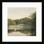 Swans on Paddington Pond, 1860s by Constance Phillott