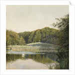 Swans on Paddington Pond, 1860s by Constance Phillott