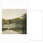 Swans on Paddington Pond, 1860s by Constance Phillott