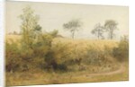 The Bat Begins with Giddy Wing - Barley Field Over the Hedge, 1885 by John William North