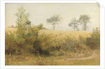 The Bat Begins with Giddy Wing - Barley Field Over the Hedge, 1885 by John William North