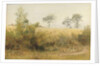 The Bat Begins with Giddy Wing - Barley Field Over the Hedge, 1885 by John William North