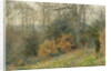 Path Through the Wood, 1902 by Wilmot R.W.S. Pilsbury