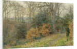 Path Through the Wood, 1902 by Wilmot R.W.S. Pilsbury