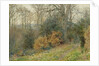 Path Through the Wood, 1902 by Wilmot R.W.S. Pilsbury