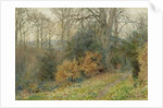 Path Through the Wood, 1902 by Wilmot R.W.S. Pilsbury